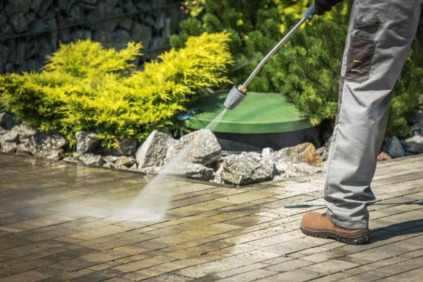 Best Patio and Deck Pressure Washing  in Mount Prospect, IL