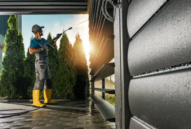 Best Driveway Pressure Washing  in Mount Prospect, IL